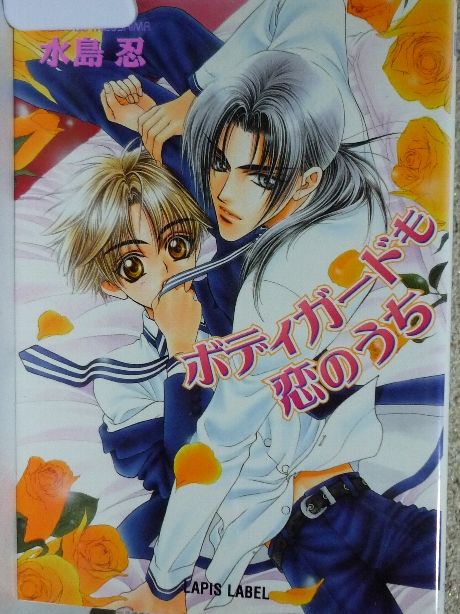 ボディガードも恋のうち　水島忍(著)